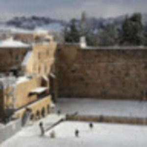 Meet your Posher, Chani